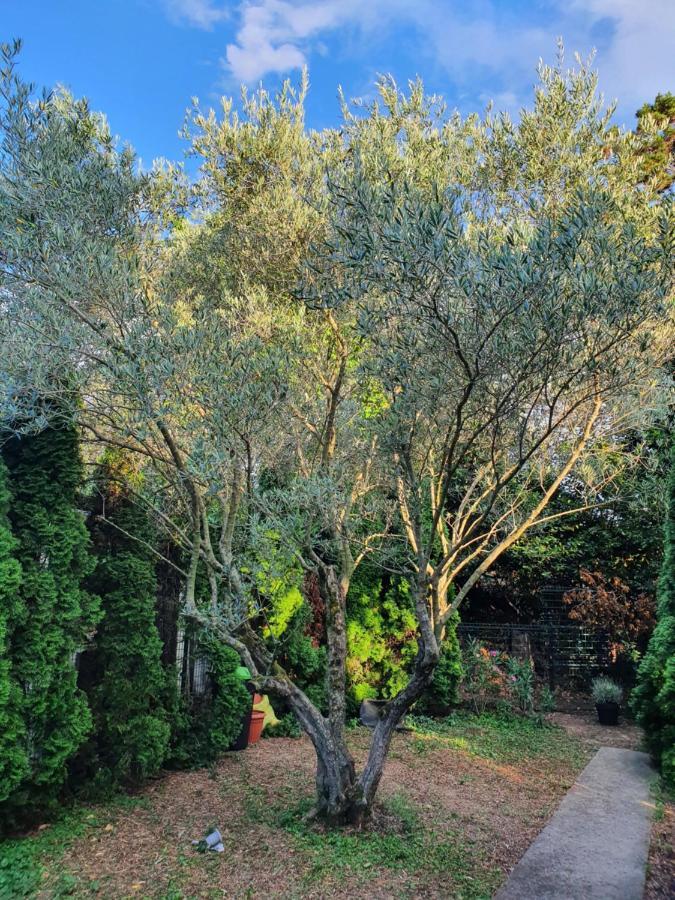 شقة Cypress Garden بورتوروز المظهر الخارجي الصورة